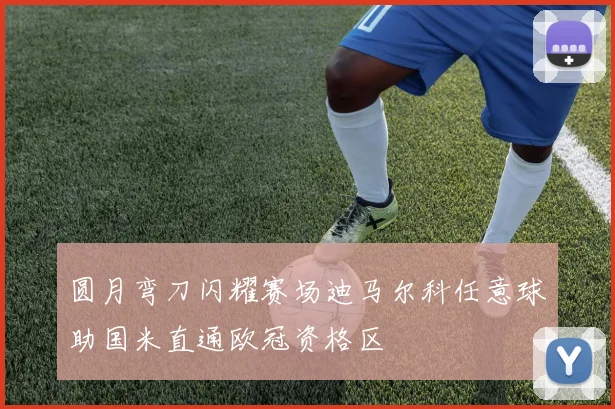 圆月弯刀闪耀赛场迪马尔科任意球助国米直通欧冠资格区