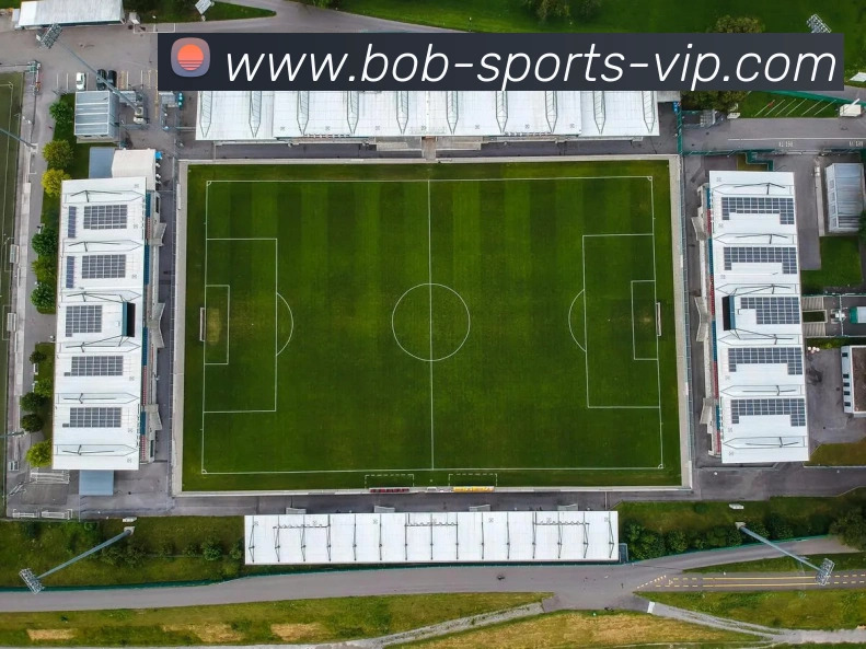 多媒体互动体验